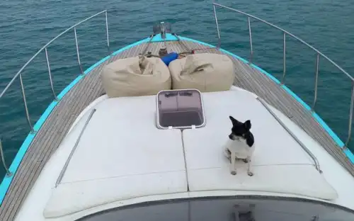 Antalya’da Günübirlik, 13 Metre Uzunluğunda, 8 Kişilik Ekonomik ve Konforlu Yat