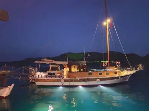 Дневной или ночной круиз на 3-каютной гулете в теплых водах Демре