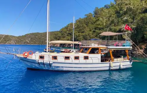 Fethiye'de 24 Kişi Kapasiteli Özel Ekonomik Tekne ile Keyifli Saatlik veya Günübirlik Turlar