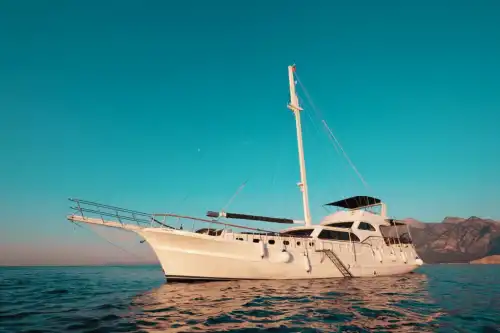 Отправьтесь в уникальное морское путешествие: 4-каютная гулета в Гёчеке!