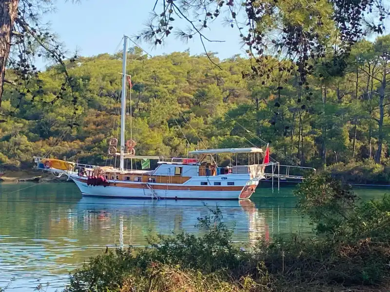Luxury Blue Cruise Experience on a 17-Meter, 3-Cabin Comfortable Gulet in Bodrum