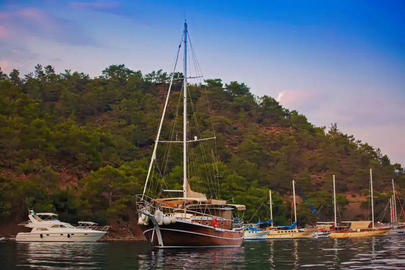 Для любителей 