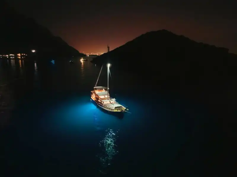 Отправьтесь в уникальное морское путешествие: 4-каютная гулета в Гёчеке!