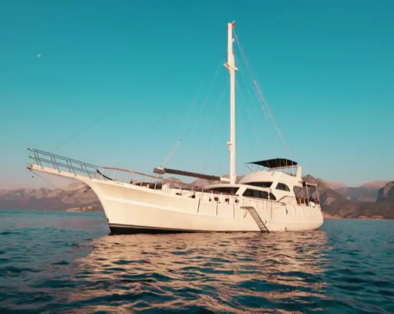 Отправьтесь в уникальное морское путешествие: 4-каютная гулета в Гёчеке!